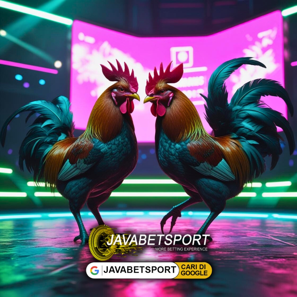 Agen Sabung Ayam Online Javabetsport Terpercaya di Indonesia
